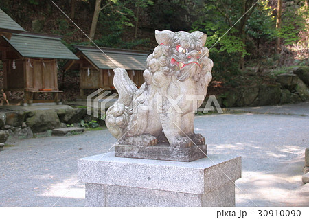 伊野天照皇大神宮の狛犬（福岡県） 30910090