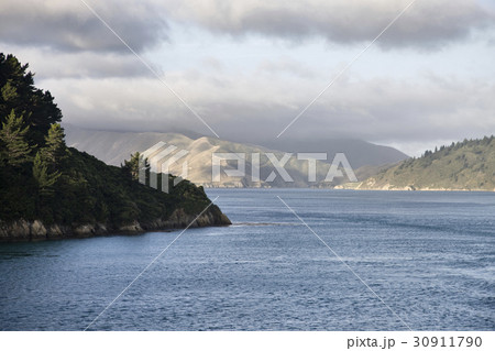 Ferry View Picton New Zealand Ferry View Picton New Zealand 30911790