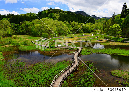 たきがしら湿原 30913059