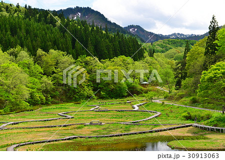 たきがしら湿原 たきがしら湿原 30913063