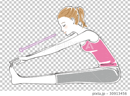 前屈 ストレッチ 矢印あり 前屈 ストレッチ 矢印あり 30913456