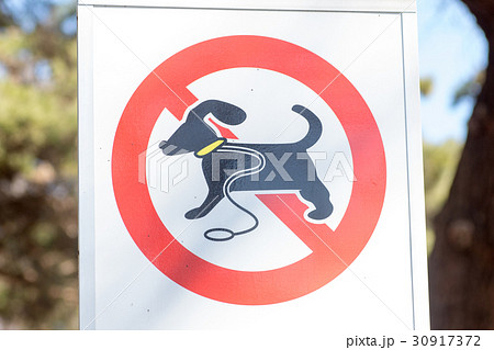 ドッグラン禁止の標識 30917372