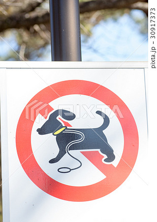 ドッグラン禁止の標識 30917373