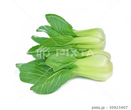 Bok choy on white Background.(chinese cabbage) Bok choy on white Background.(chinese cabbage) 30923407