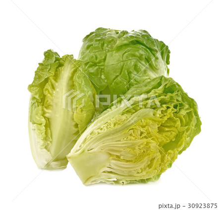 Romain Lettuce isolated on a white background Romain Lettuce isolated on a white background 30923875