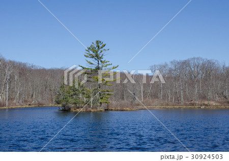 コネチカット州サーモンリバー　 30924503