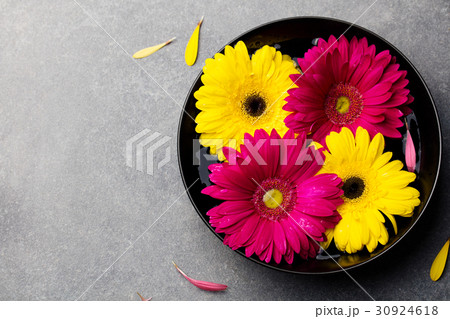 Colorful gerbera flowers in black bowl. Top view. Colorful gerbera flowers in black bowl. Top view. 30924618
