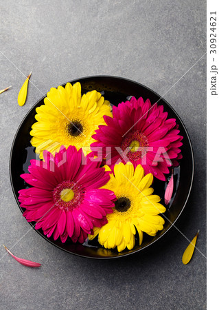 Colorful gerbera flowers in black bowl. Top view. Colorful gerbera flowers in black bowl. Top view. 30924621