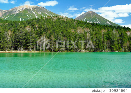 春の雌阿寒岳と温根沼 30924664