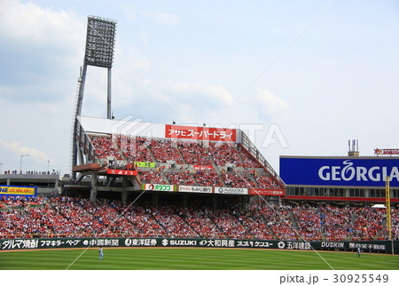 ズームズームスタジアムhanako2 30925549