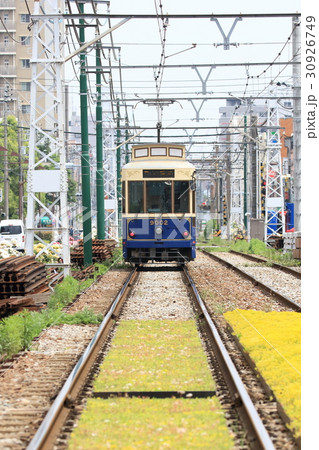 都電荒川線 バラ電車の写真素材