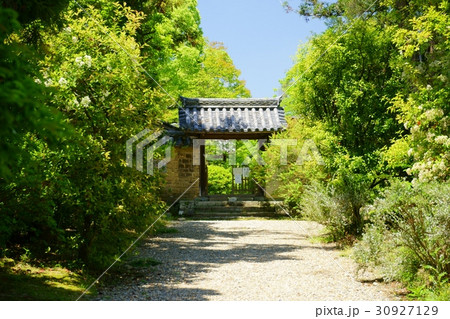 奈良・海龍王寺の山門（近） 30927129