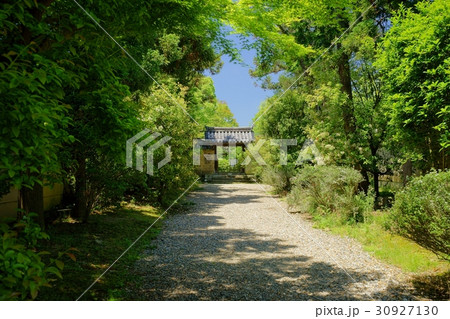奈良・海龍王寺の山門（遠） 30927130