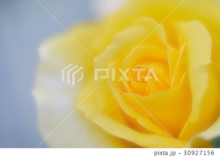 天使のキッス 30927156