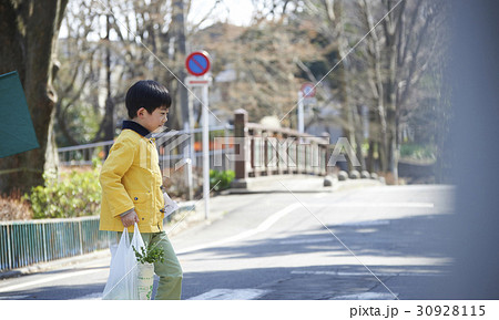 おつかい 横断歩道を渡る男の子 おつかい 横断歩道を渡る男の子 30928115