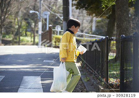おつかい　横断歩道を渡る男の子 30928119