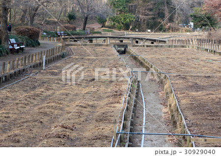 冬のフラワーガーデン 30929040