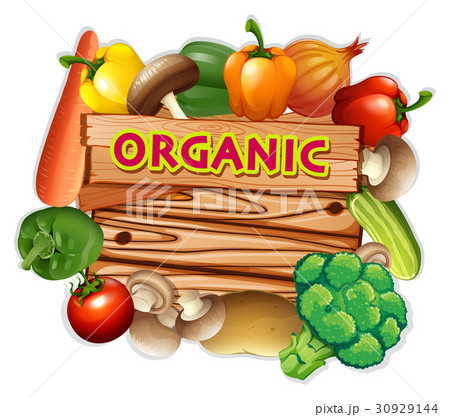 Organic sign with fresh vegetables Organic sign with fresh vegetables 30929144