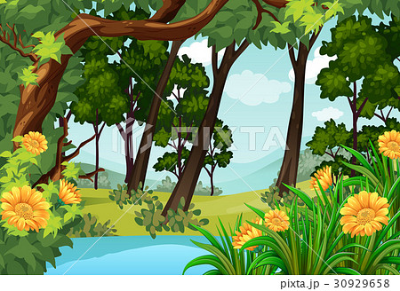 Forest scene with trees and pond Forest scene with trees and pond 30929658
