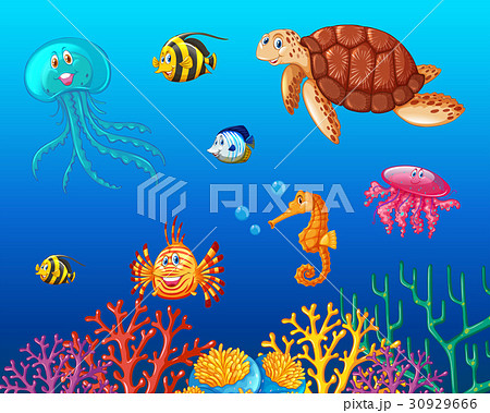 Sea animals swimming under the ocean 30929666