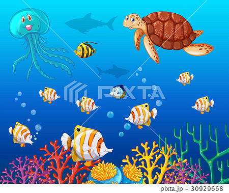 Many types of sea animals under the ocean 30929668