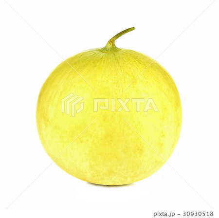 cantaloupe isolated on white background 30930518