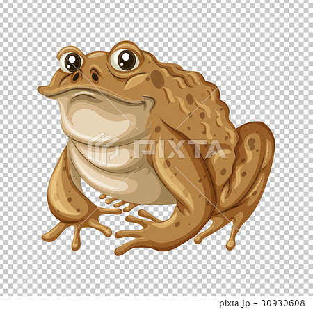 Toad With Brown Skinのイラスト素材