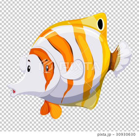Cute fish on transparent background Cute fish on transparent background 30930630