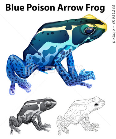 Doodle animal for blue poison arrow frog 30931283