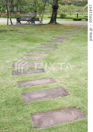 Stone path in tropical garden Stone path in tropical garden 30931647