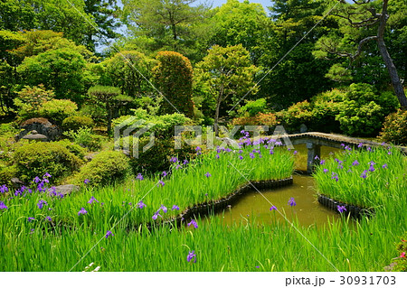 奈良・法華寺・名勝庭園 30931703