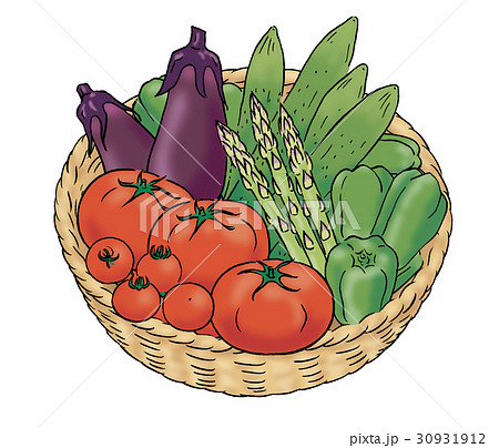 夏野菜 かご盛りのイラスト素材 30931912 Pixta