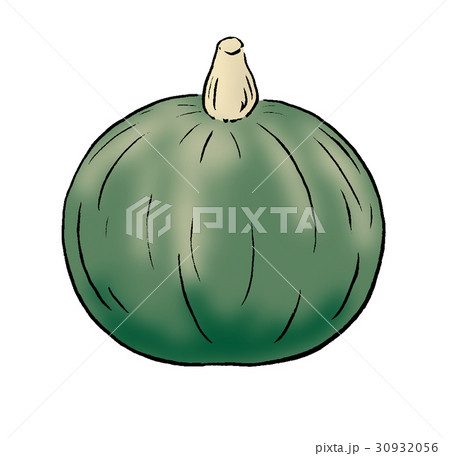 カボチャ カボチャ 30932056