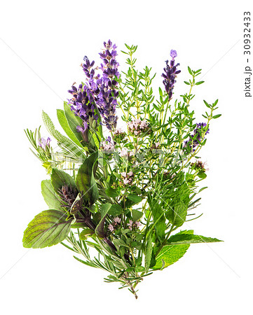 Fresh herbs spices rosemary thyme sage mint basil 30932433
