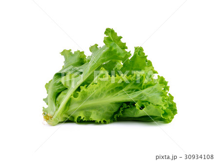 Fresh green lettuce on white background 30934108