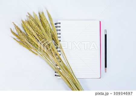 open note book with pencil and grass flowers open note book with pencil and grass flowers 30934697