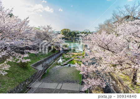 南禅寺ダムの春景色 南禅寺ダムの春景色 30934840