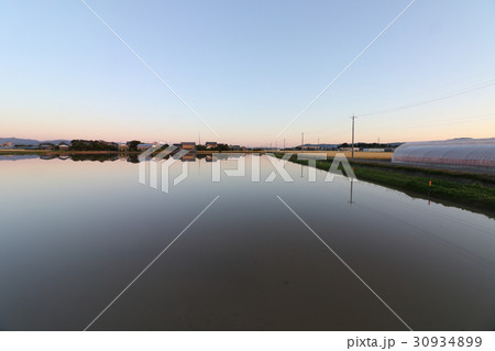 春の水田 春の水田 30934899