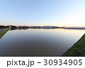 春の水田　 30934905