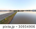 春の水田　 30934906
