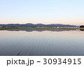 春の水田　 30934915
