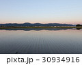 春の水田　 30934916