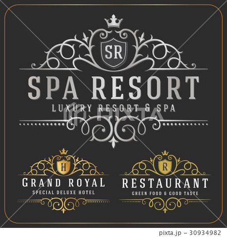 Flourish logotype template 30934982