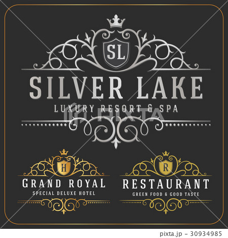 Flourish logotype template 30934985