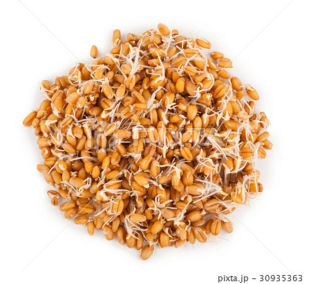 wheat germ 30935363