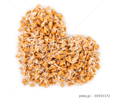 Heart of grown wheat 30935372