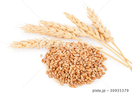 Ears of wheat Ears of wheat 30935379