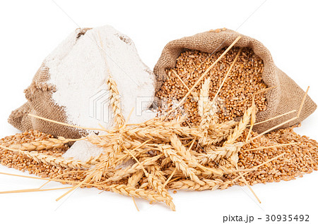 Flour and wheat grain 30935492