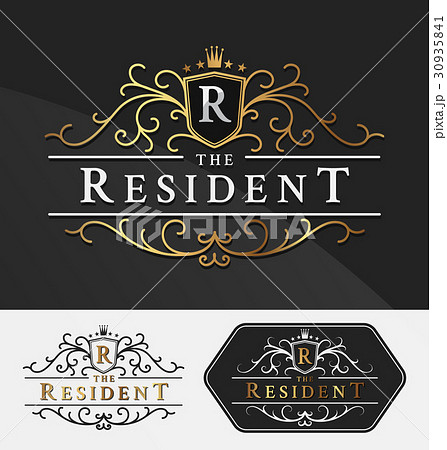 Luxurious Royal Logo Vector Re-sizable Design  30935841