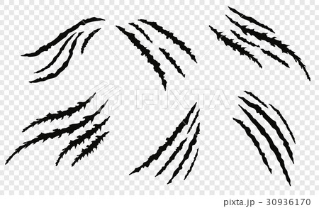 Claw vecror scratches 30936170